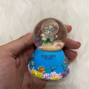 Delray Beach Florida Snow Globe